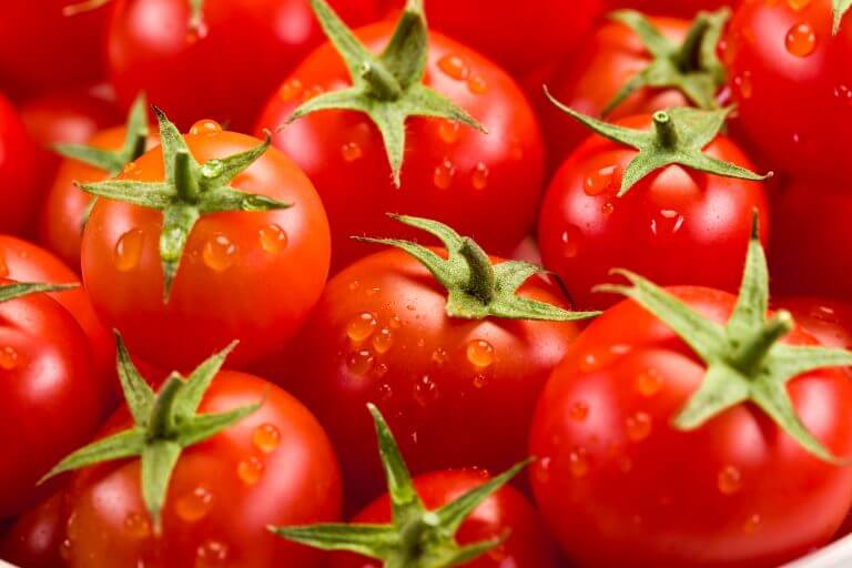 Biogard - Tomate