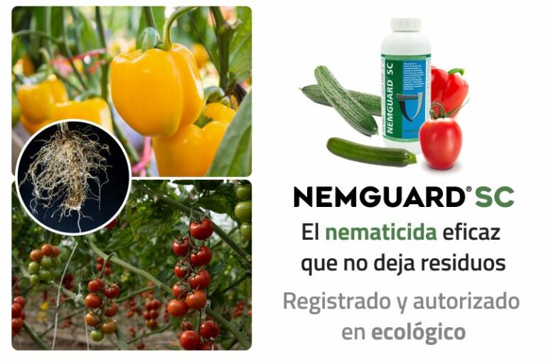 Biogard - Protege tu cultivo de nematodos desde el trasplante con Nemguard® SC